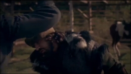 Dirilis Ertugrul  - Season 02 Episode 13